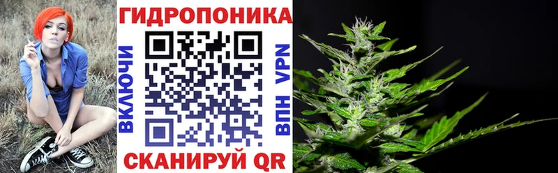 kraken как зайти  Калуга  Бошки Шишки планчик 